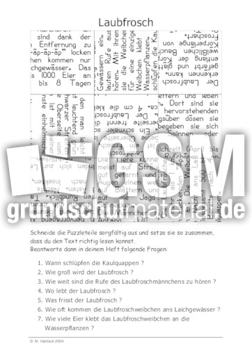 Laubfrosch.pdf